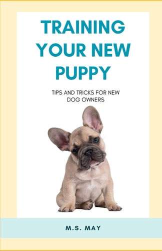 Training Your New Puppy Tips and Tricks for New Dog Owners