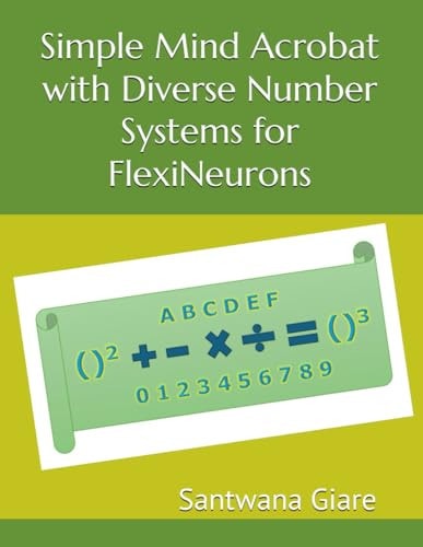 Simple Mind Acrobat with Diverse Number Systems for FlexiNeurons