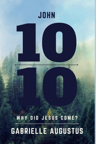 John 1010 Why Did Jesus Come?