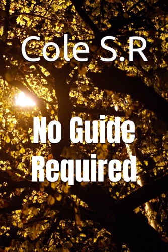 No Guide Required