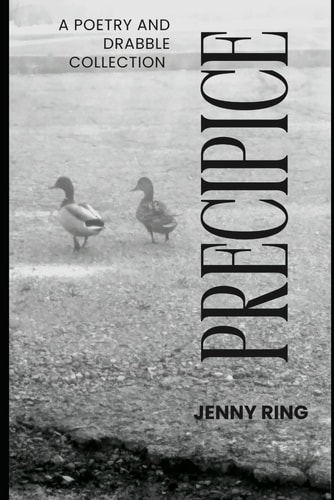 Precipice A Poetry and Drabble Collection