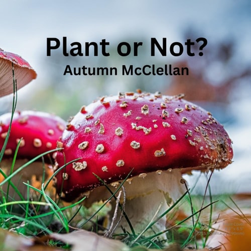Plant Or Not?