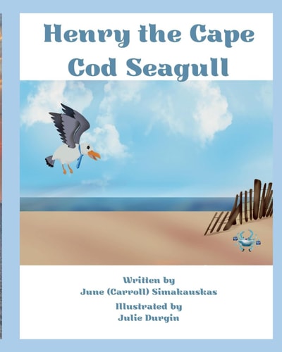 Henry the Cape Cod Seagull