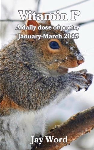 Vitamin P Book 1 A Daily Dose of Poetry January-March 2025