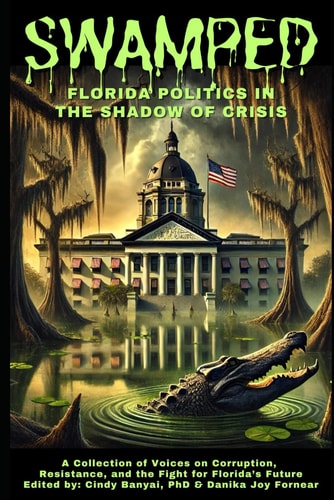 Swamped Florida Politics in the Shadow of Crisis