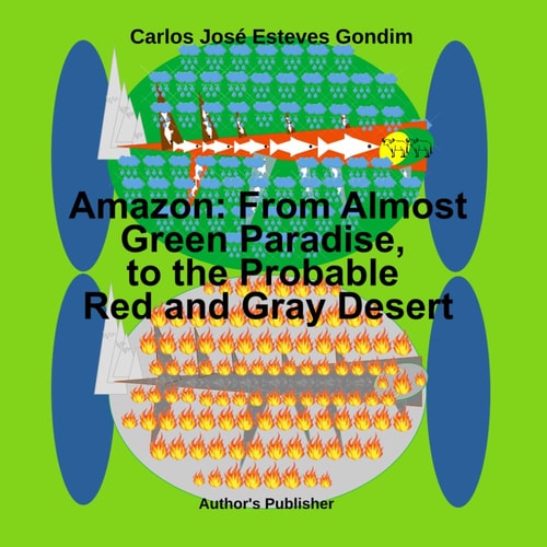 Amazon From Almost a Green Paradise to a Likely Red and Gray Desert: First Part