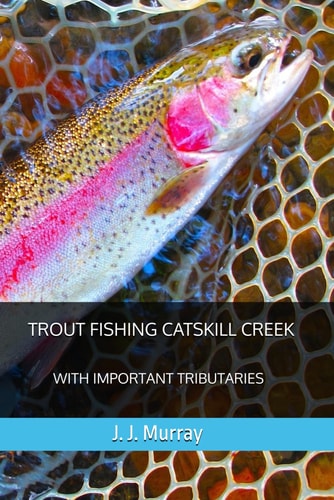 Trout Fishing Catskill Creek With Important Tributaries