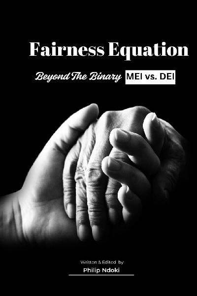 FAIRNESS EQUATION: Beyond The Binary MEI vs. DEI