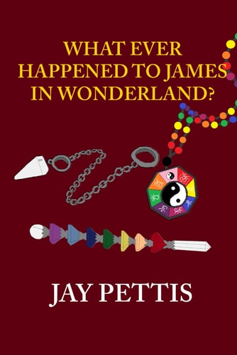 What Ever Happened to James in Wonderland?: A Novella Diary (The Diaries)