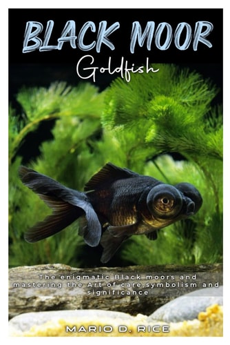 Black Moor Goldfish The Enigmatic Black Moors and Mastering the Art of Care, Symbolism and Significance