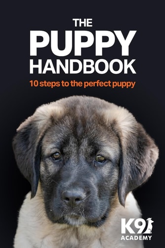 The Puppy Handbook 10 Steps To The Perfect Puppy