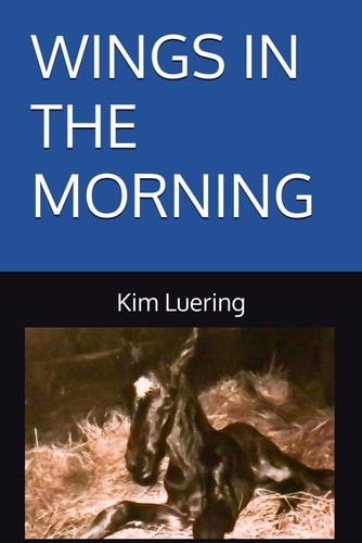 Wings In The Morning