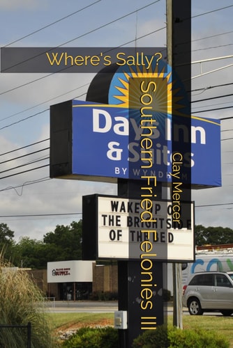 Southern Fried Felonies III Where's Sally?