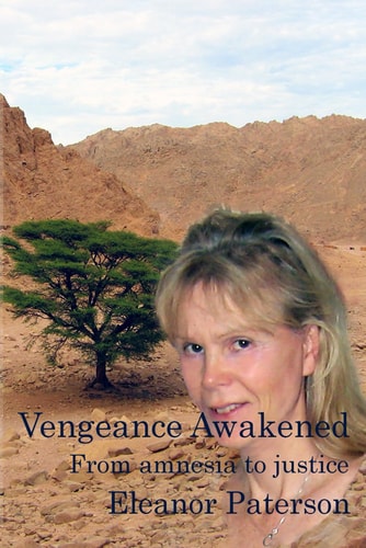 Vengeance Awakened From Amnesia to Justice