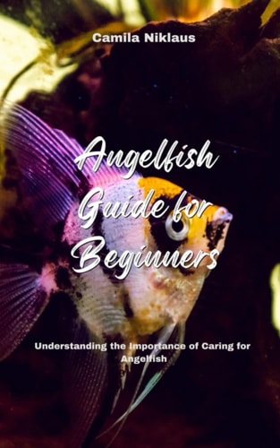Angelfish Guide for Beginners Understanding the Importance of Caring for Angelfish