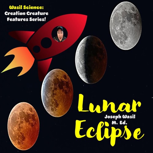 Creation Creature Features Lunar Eclipse!
