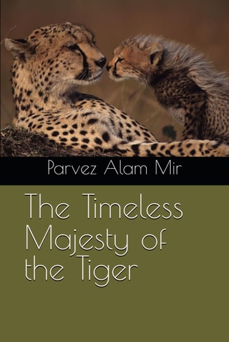 The Timeless Majesty of the Tiger