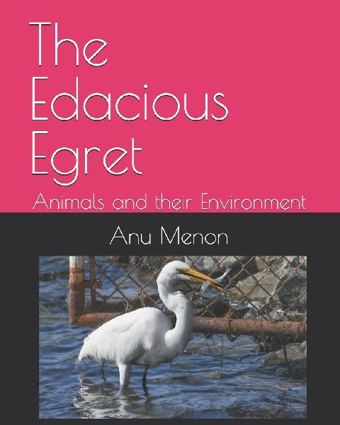 The Edacious Egret: Animals and their Environment