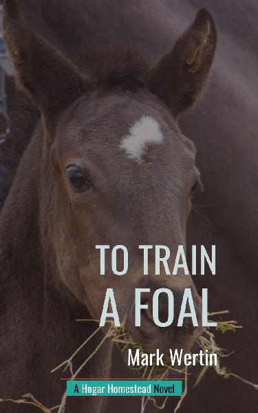 To Train A Foal: A Hogar Homestead Novel: Book 2