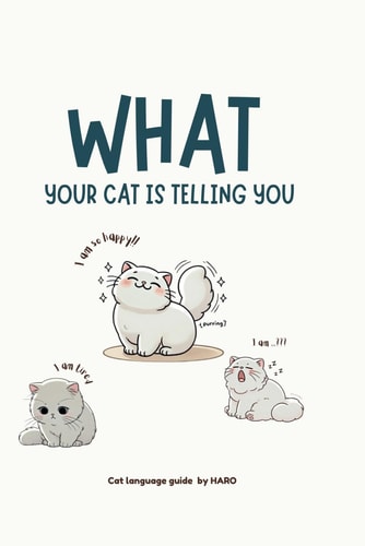 What Your Cat Is Telling You A Guide to Cat Language Translation