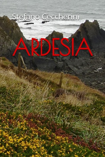 Ardesia