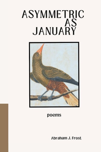 Asymmetric as January Poems
