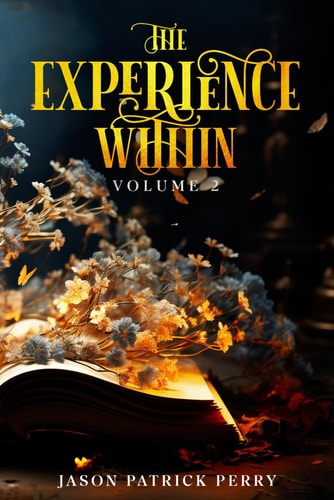 The Experience Within Volume 2