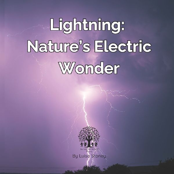 Lightning: Nature's Electric Wonder