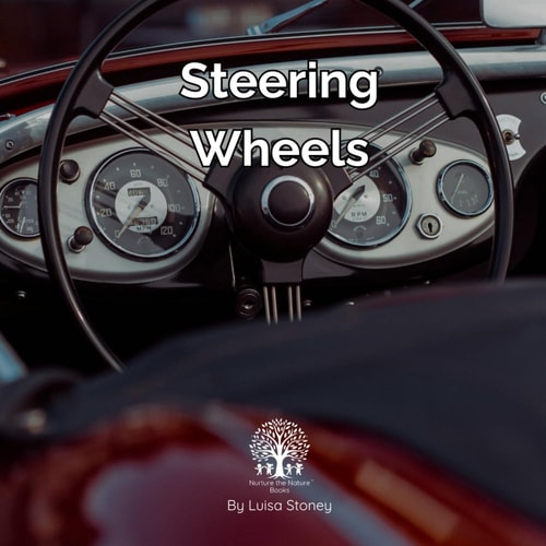 Steering Wheels