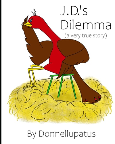 JD's Dilemma (A Very True Story)