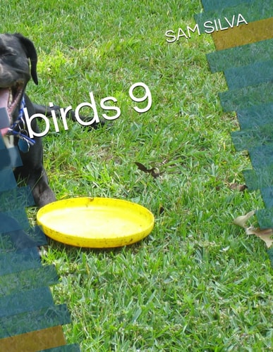 Birds 9