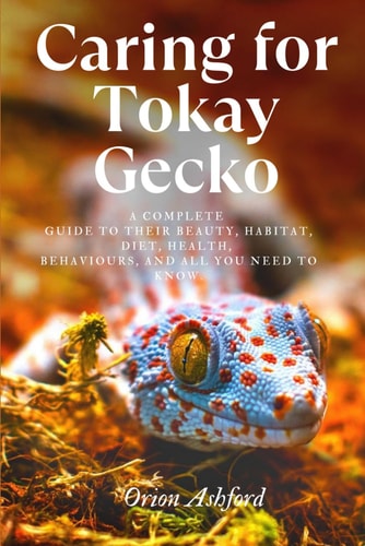 Caring for Tokay Gecko A Complete Guide to Their Beauty, Habitat, Diet, Health, Behaviours, and All You Need to Know.
