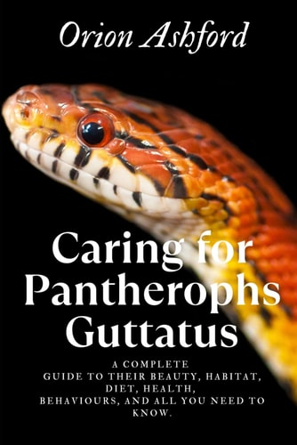 Caring for Pantherophs Guttatus A Complete Guide to Their Beauty, Habitat, Diet, Health, Behaviours, and All You Need to Know.