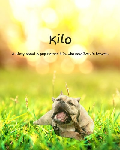 Kilo A Story about a Pup Named Kilo, who Now Lives in Heaven.