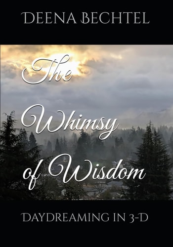 The Whimsy of Wisdom Daydreaming in 3-D