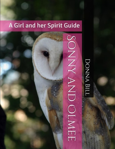 Sonny and Olmee A Girl and Her Spirit Guide