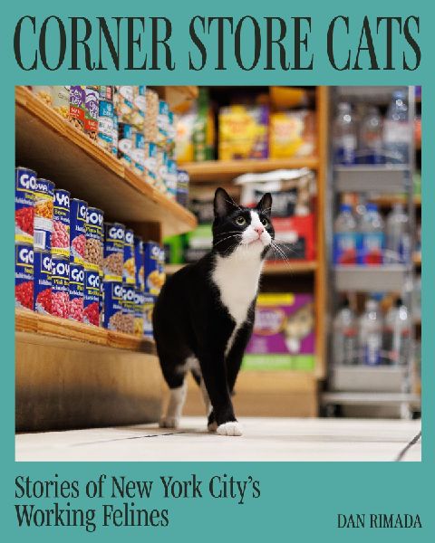 Bodega Cats of New York: Portraits and Stories from New York City's Working Cats