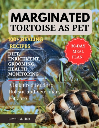 Marginated Tortoise as Pet A Balanced Guide to Holistic and Veterinary Pet Care