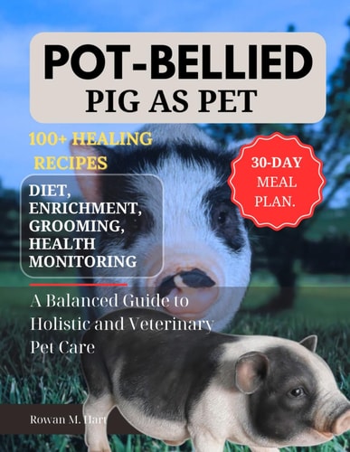 Pot-Bellied as Pet A Balanced Guide to Holistic and Veterinary Pet Care