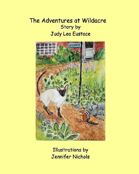 The Adventures at Wildacre