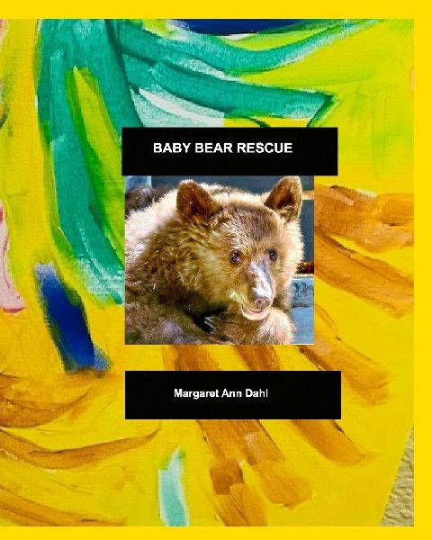 Baby Bear Rescue
