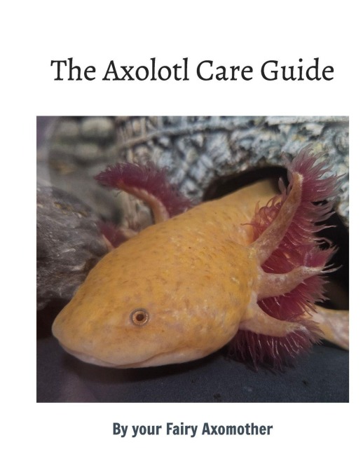 The Axolotl Care Guide: by your Fairy Axomother