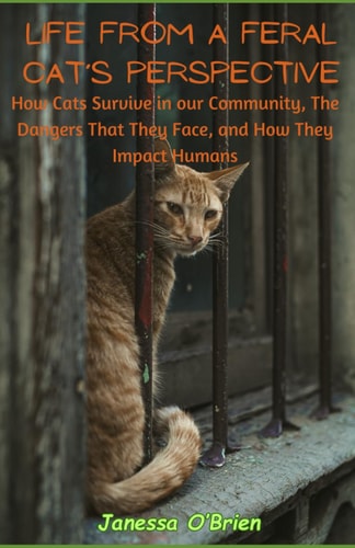 Life From A Feral Cat's Perspective How Cats Survive in Our Community, The Dangers That They Face, and How They Impact Humans