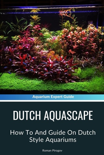 Dutch Aquascape How To And Guide On Dutch Style Aquariums