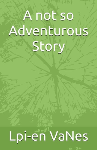 A Not So Adventurous Story