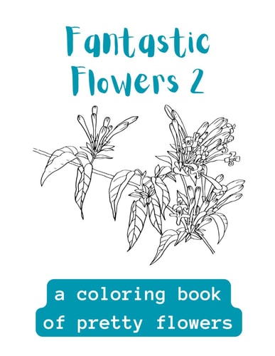 Fantastic Flowers A Coloring Book Of Fantastic Flowers
