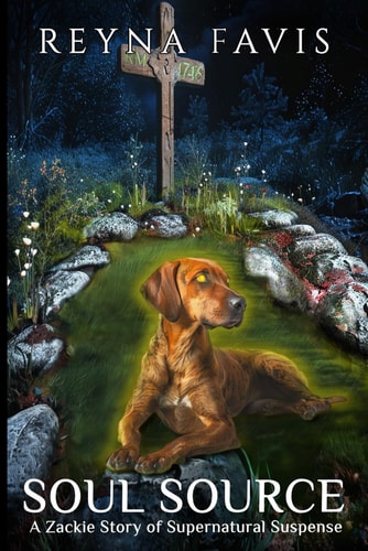 Soul Source A Zackie Story of Supernatural Suspense