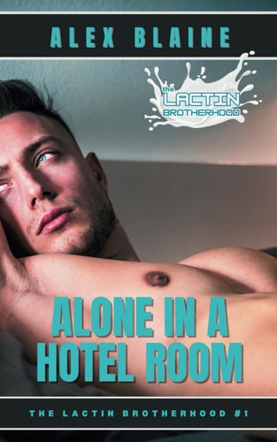 Alone in a Hotel Room An M/M Romance