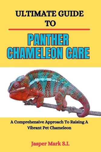 Ultimate Guide to Panther Chameleon Care A Comprehensive Approach To Raising A Vibrant Pet Chameleon