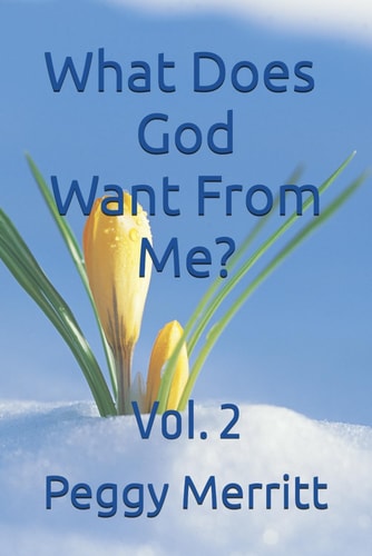 WHAT DOES GOD WANT FROM ME?.